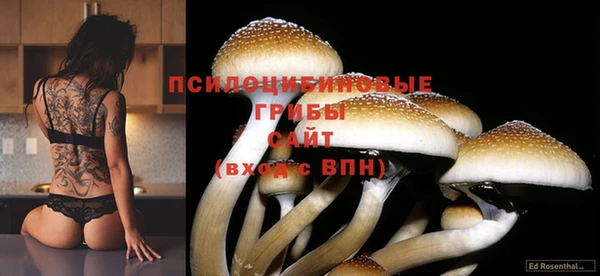 трава Балахна